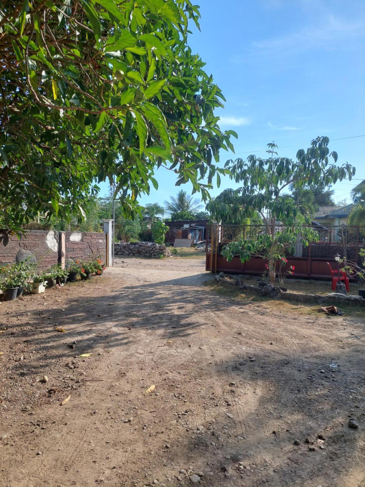 D'Ru Guest House Labuan Bajo Ngoại thất bức ảnh